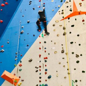 פעילויות ODT